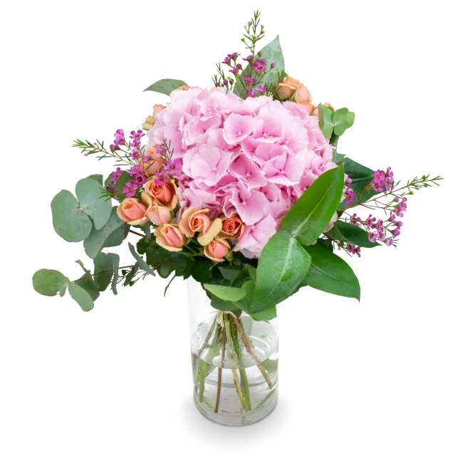 A bouquet of hydrangeas